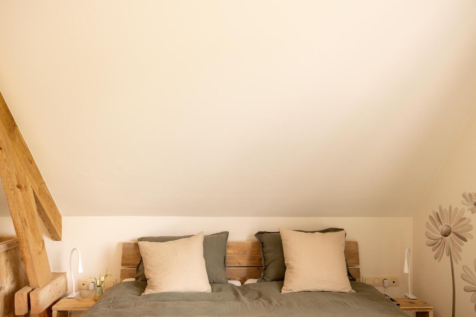 B&B Ginnekenshoeve Beerse Номер фото